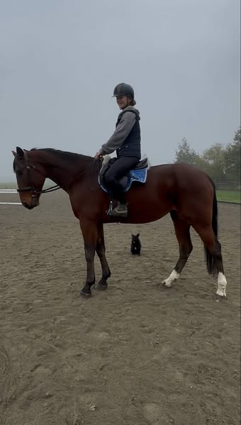 503857191_1244483604140306_5462613810845459824_n