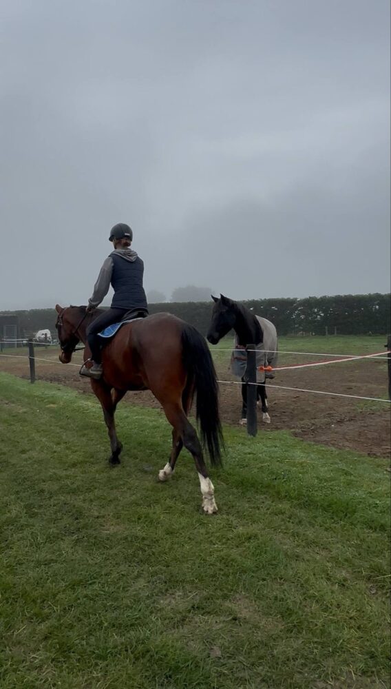 504013017_1244482790807054_4624177571219726007_n