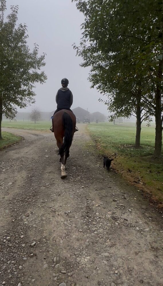 504093256_1244483620806971_6628376668518993542_n